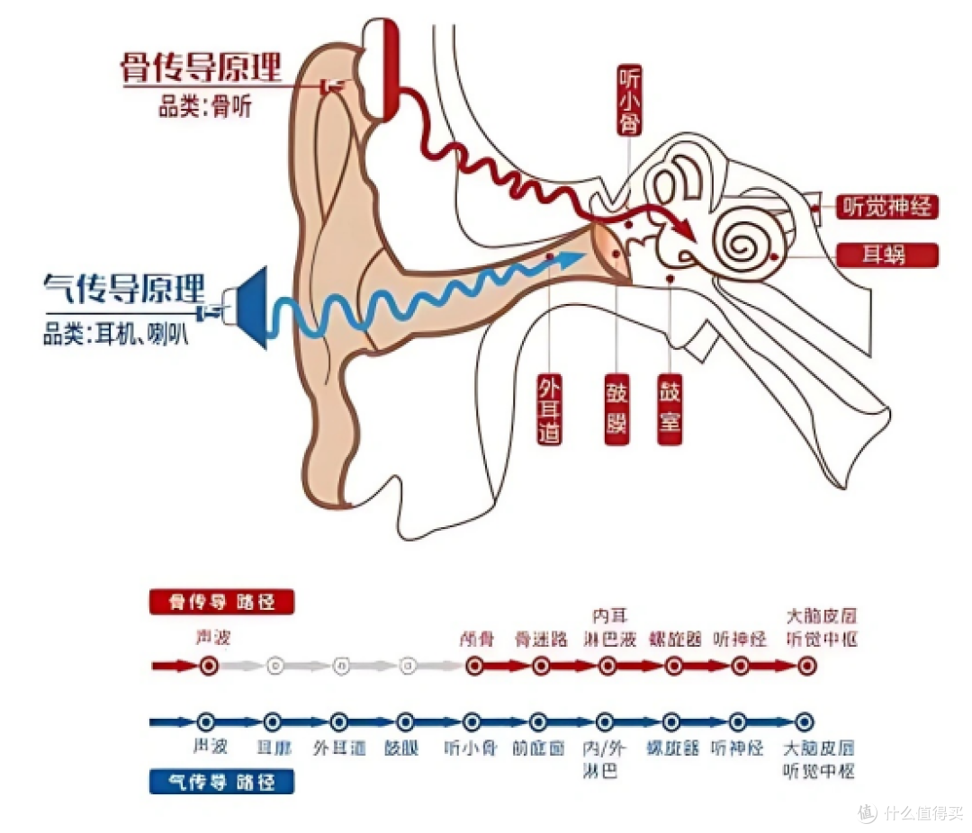 开放式耳机和骨传导耳机哪个好?哪些高性价比的挂耳式耳机推荐?