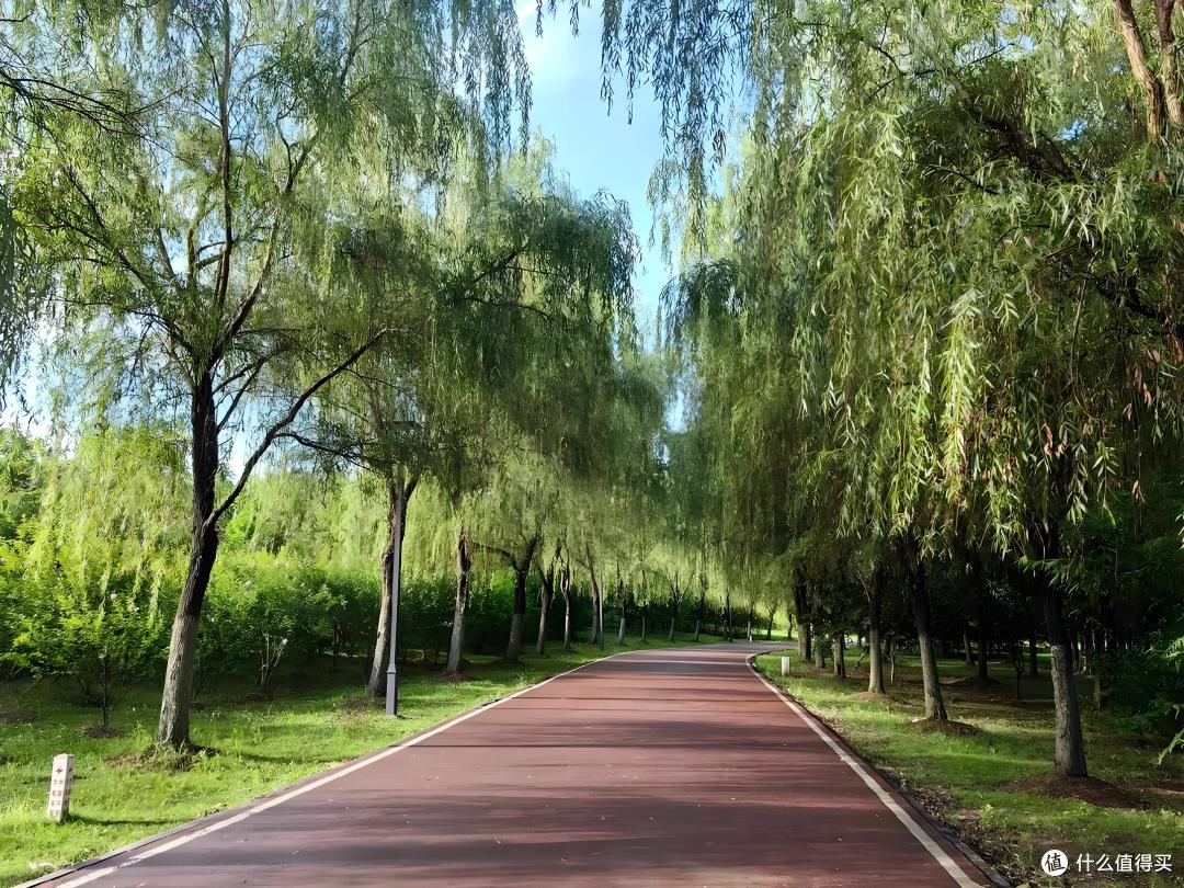 七月流的汗，都是变美的养分！沿湖晨跑打卡记