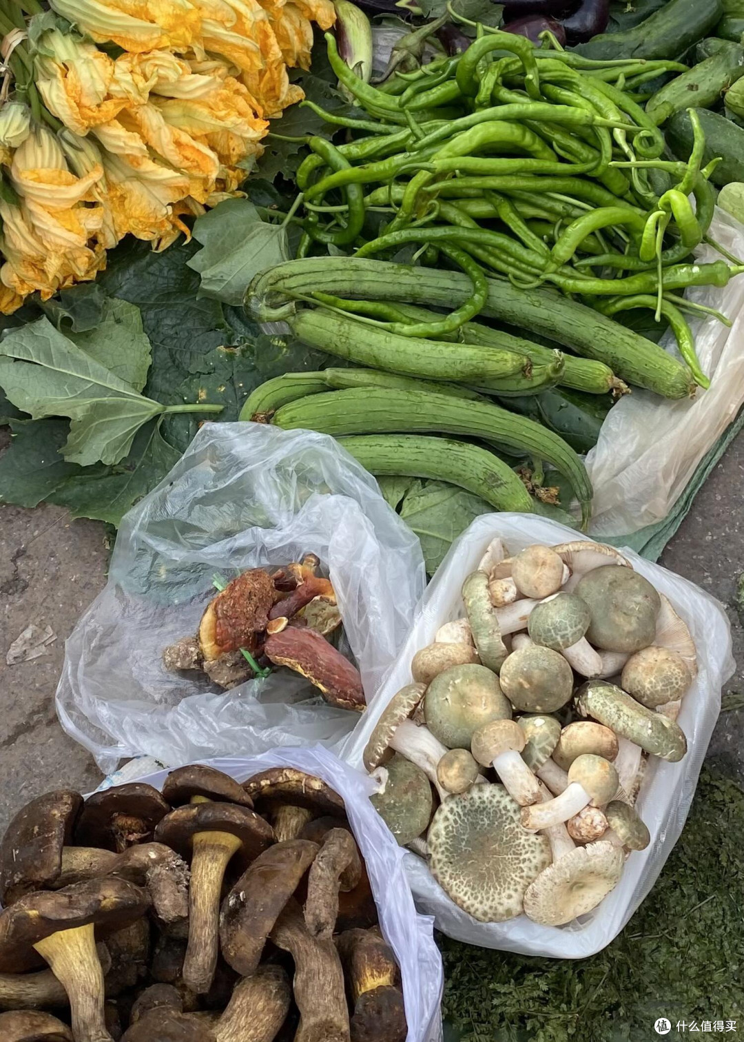 🍄 昆明野生菌购买全攻略