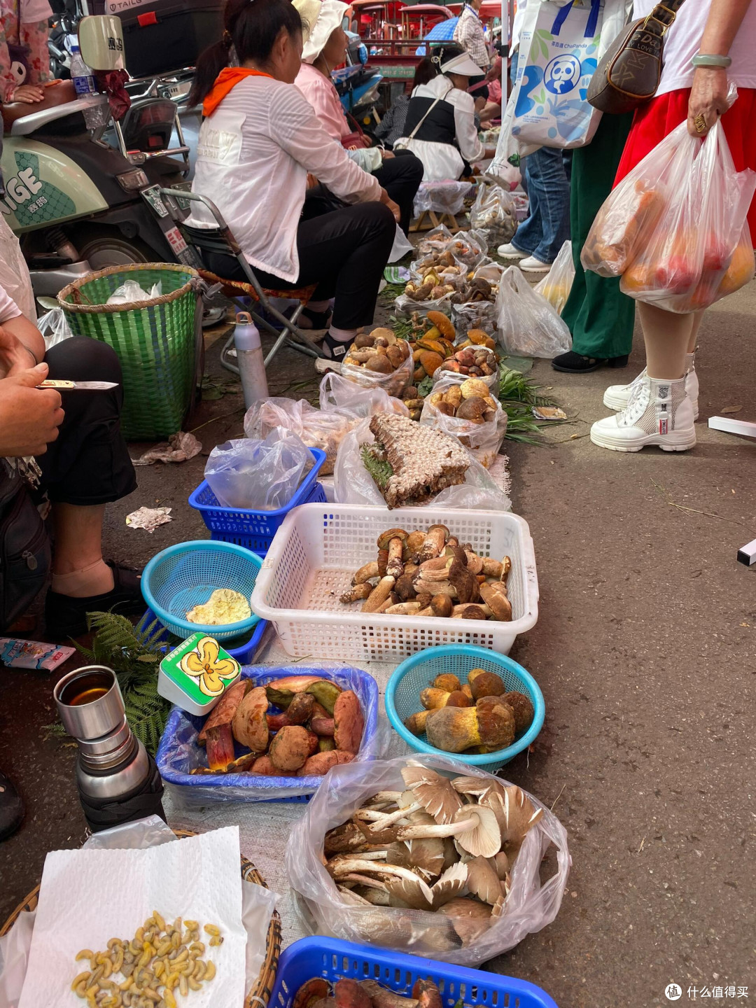 🍄 昆明野生菌购买全攻略