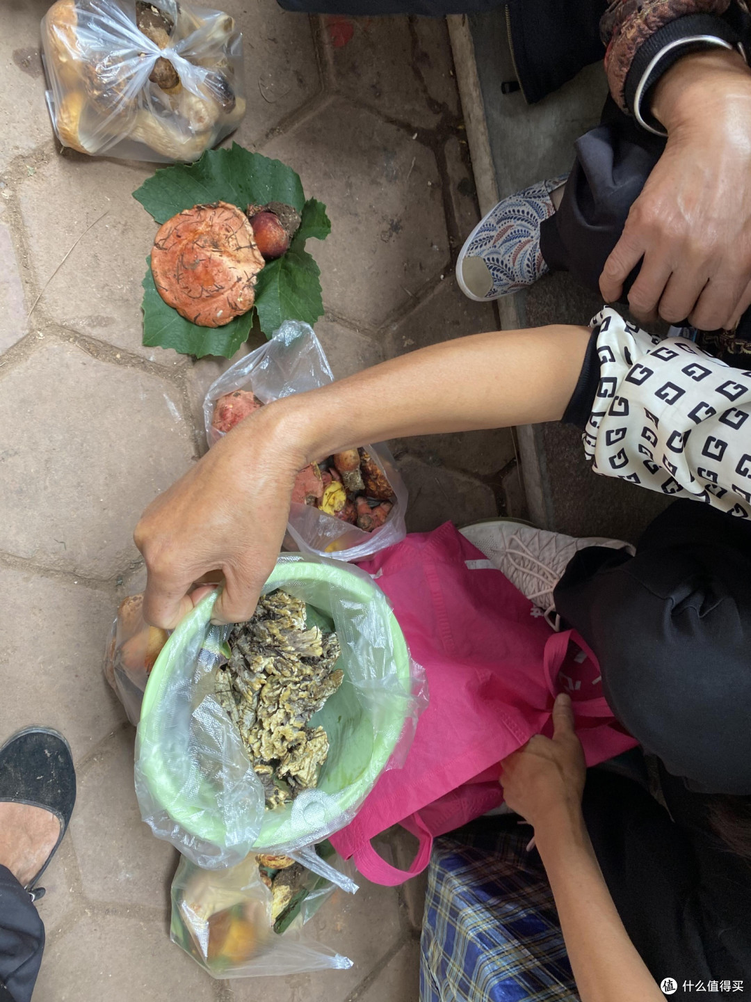 🍄 昆明野生菌购买全攻略