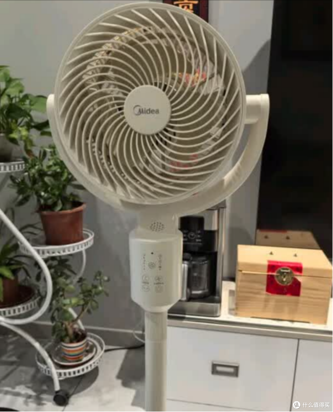 电风扇哪个品牌质量好?5大高热度品牌测评,速来挑!