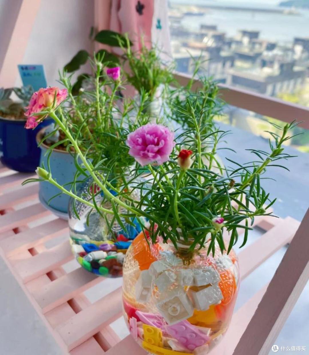 太心酸!湖南小伙被裁员,无奈清理养在公司的花,大大小小一拖车