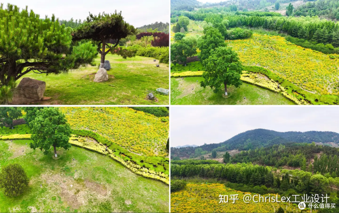 大疆 DJI Flip 测评:新手也能拍大片,但抗风和避障能力仍有限