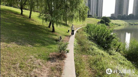 大疆 DJI Flip 测评:新手也能拍大片,但抗风和避障能力仍有限