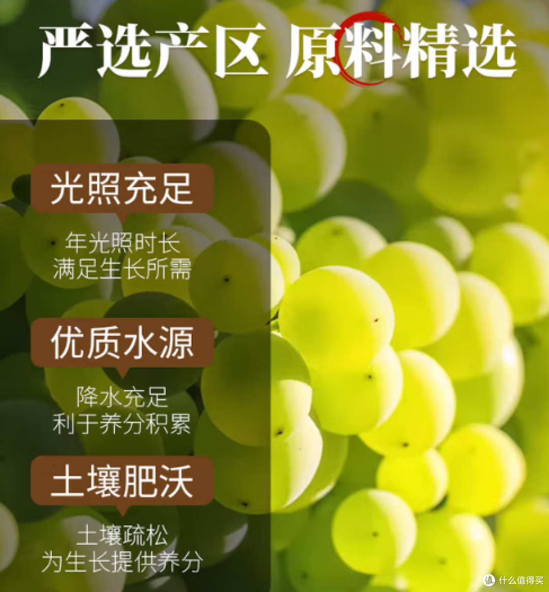 嘴巴印记绿葡萄干：新疆风味的甜蜜印记