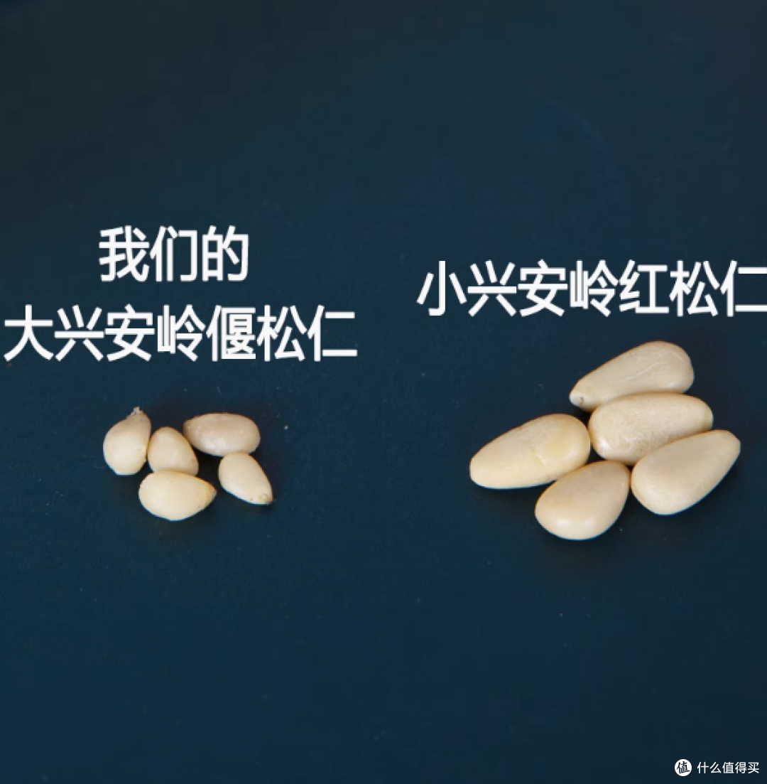 邂逅自然珍馐,品味健康之选——蓝百蓓旗舰店有机偃松仁