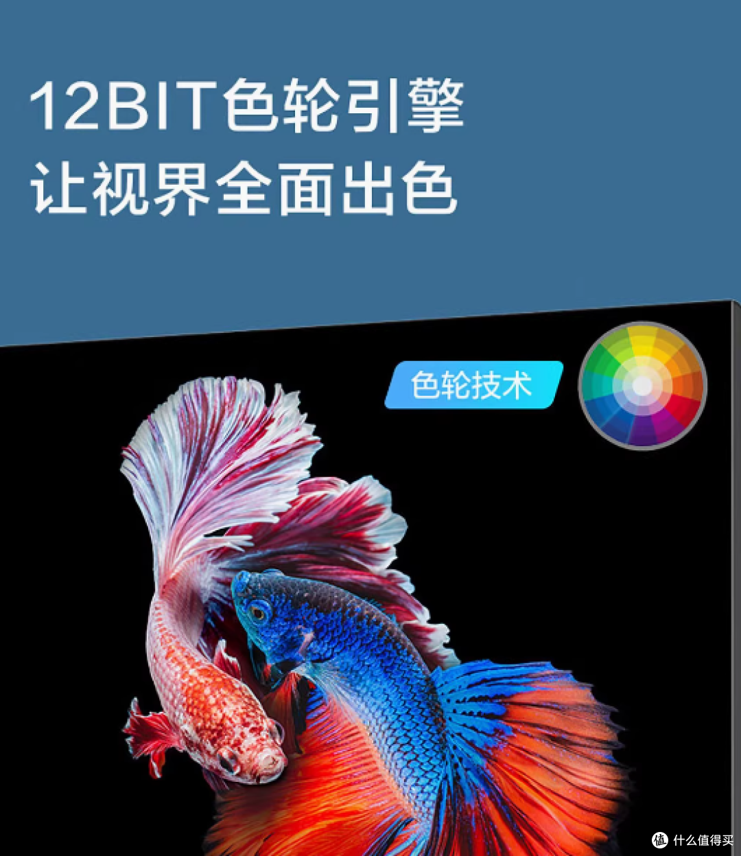 康佳J32E电视:小空间里的视听宝藏,开启多彩生活新体验
