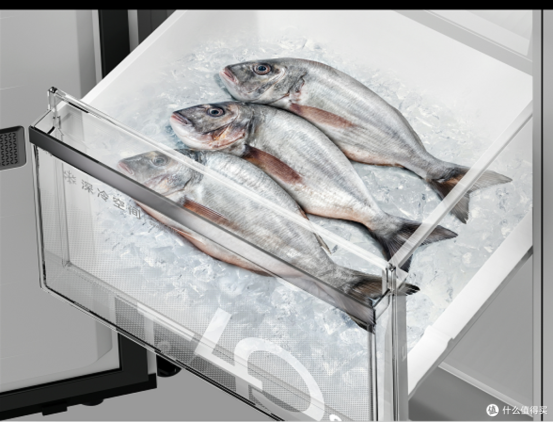 -40℃深冷锁鲜+健康制冰!TCL冷布丁冰箱让食材"鲜"人一步