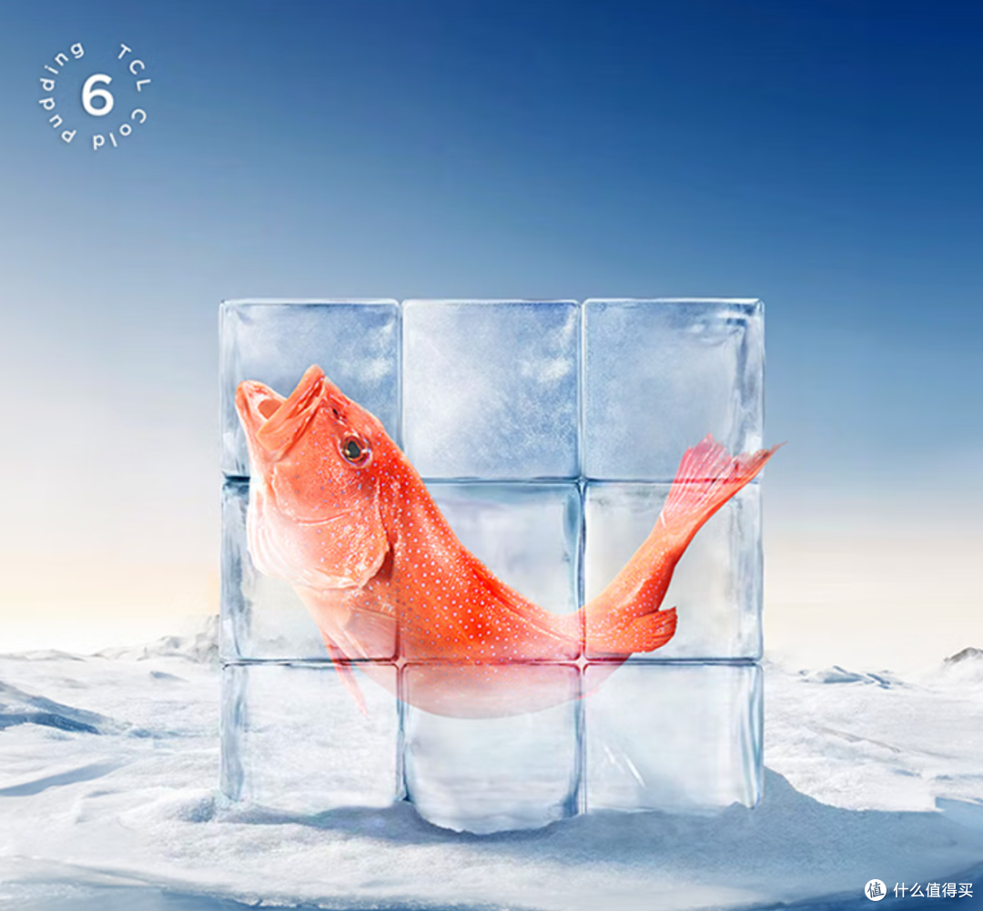 -40℃深冷锁鲜+健康制冰!TCL冷布丁冰箱让食材"鲜"人一步