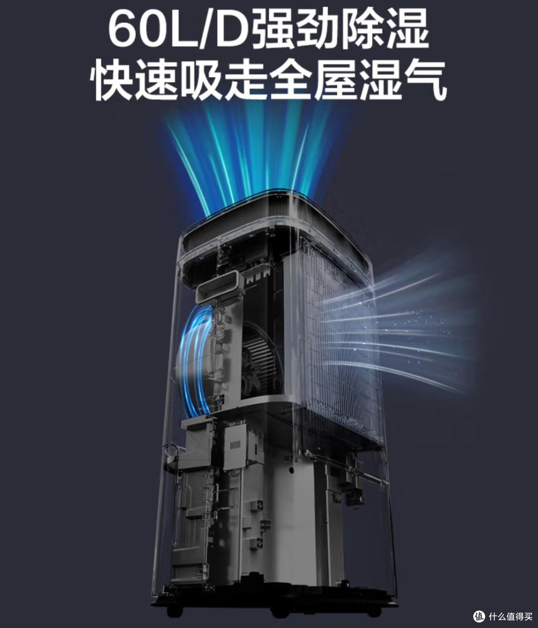 海尔小红花变频除湿机：一机多能，重塑居家健康生态