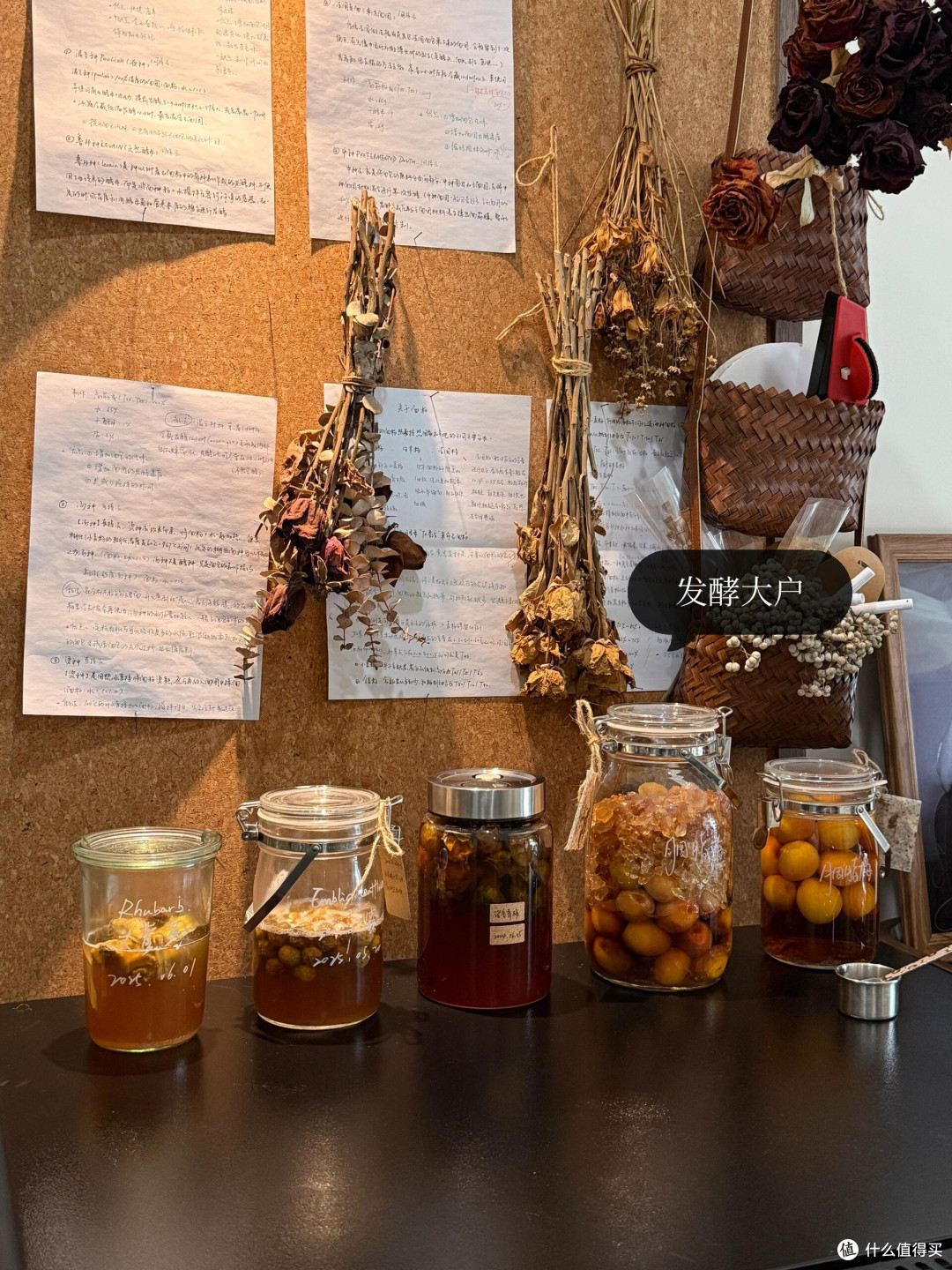 制作梅子露这么多年，今年用它养了青梅味的鲁邦种！