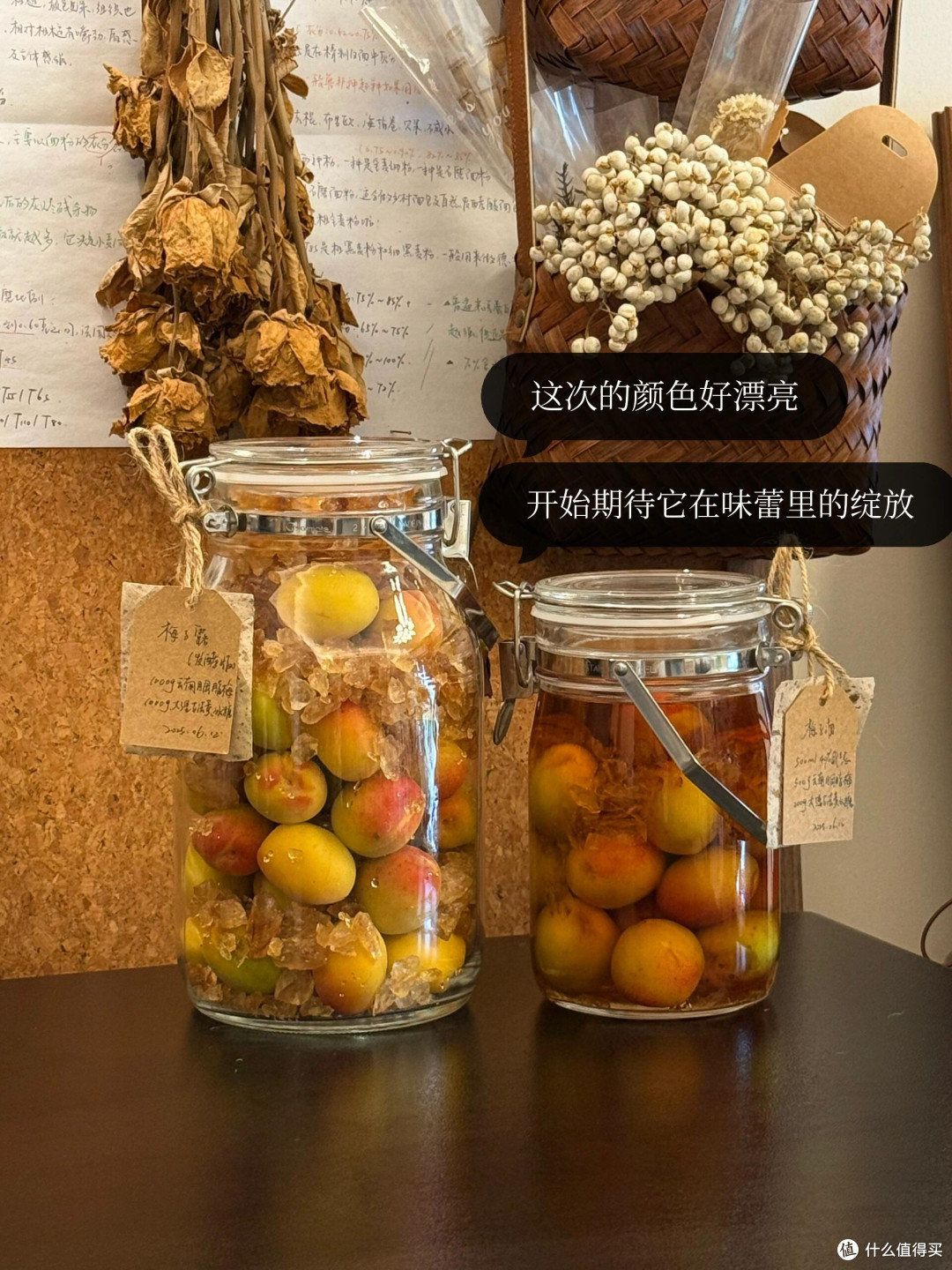 制作梅子露这么多年，今年用它养了青梅味的鲁邦种！