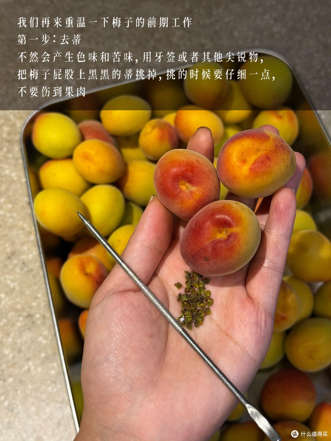 制作梅子露这么多年，今年用它养了青梅味的鲁邦种！