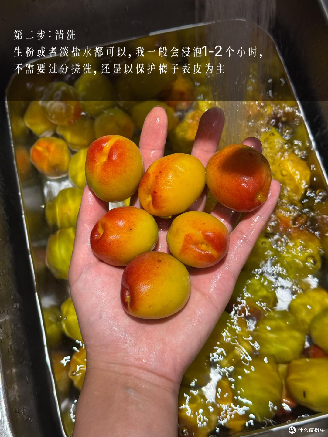 制作梅子露这么多年，今年用它养了青梅味的鲁邦种！