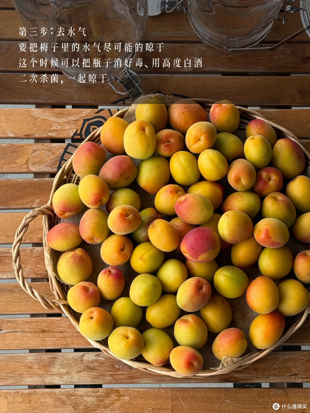 制作梅子露这么多年，今年用它养了青梅味的鲁邦种！