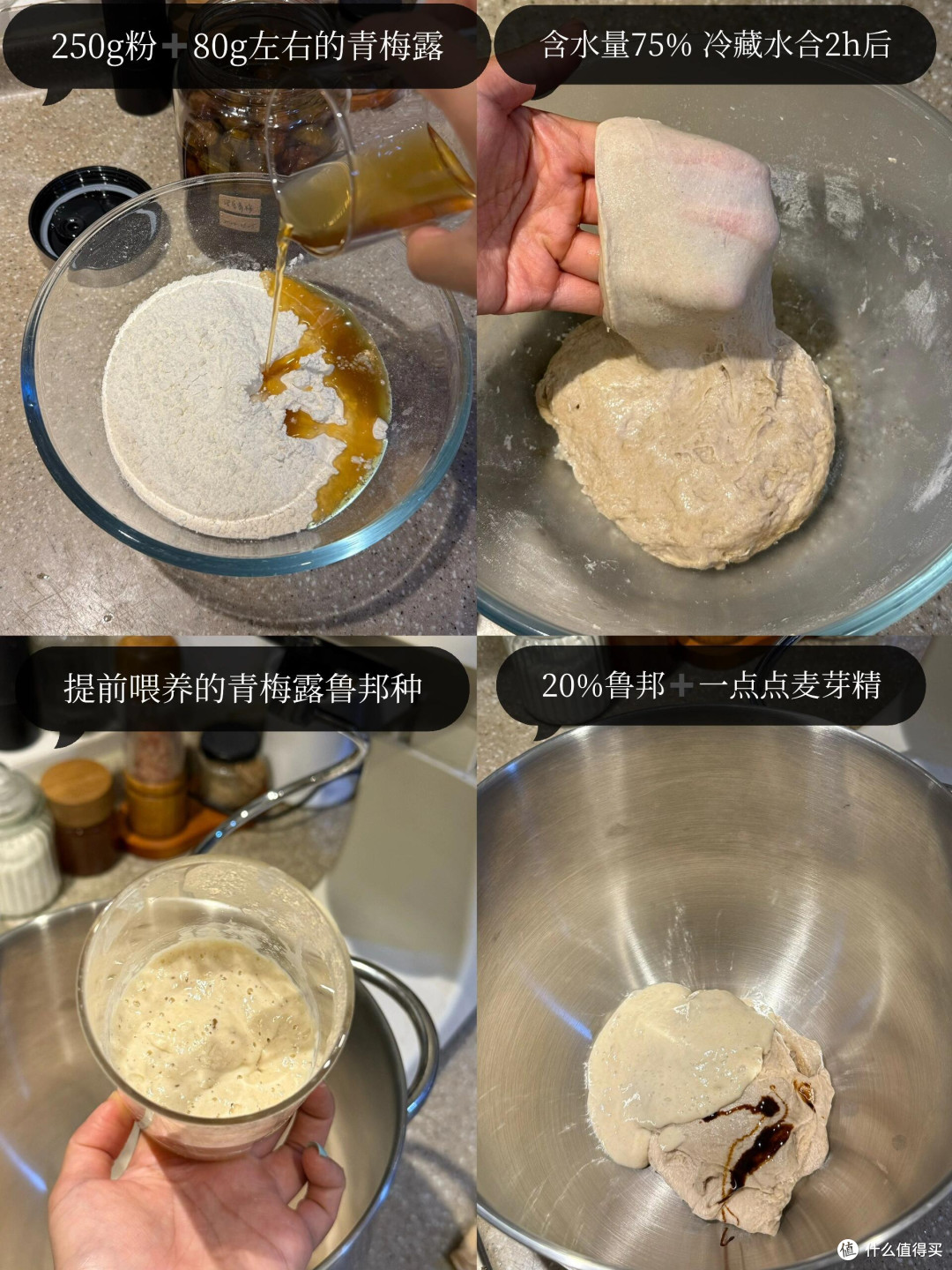 制作梅子露这么多年，今年用它养了青梅味的鲁邦种！