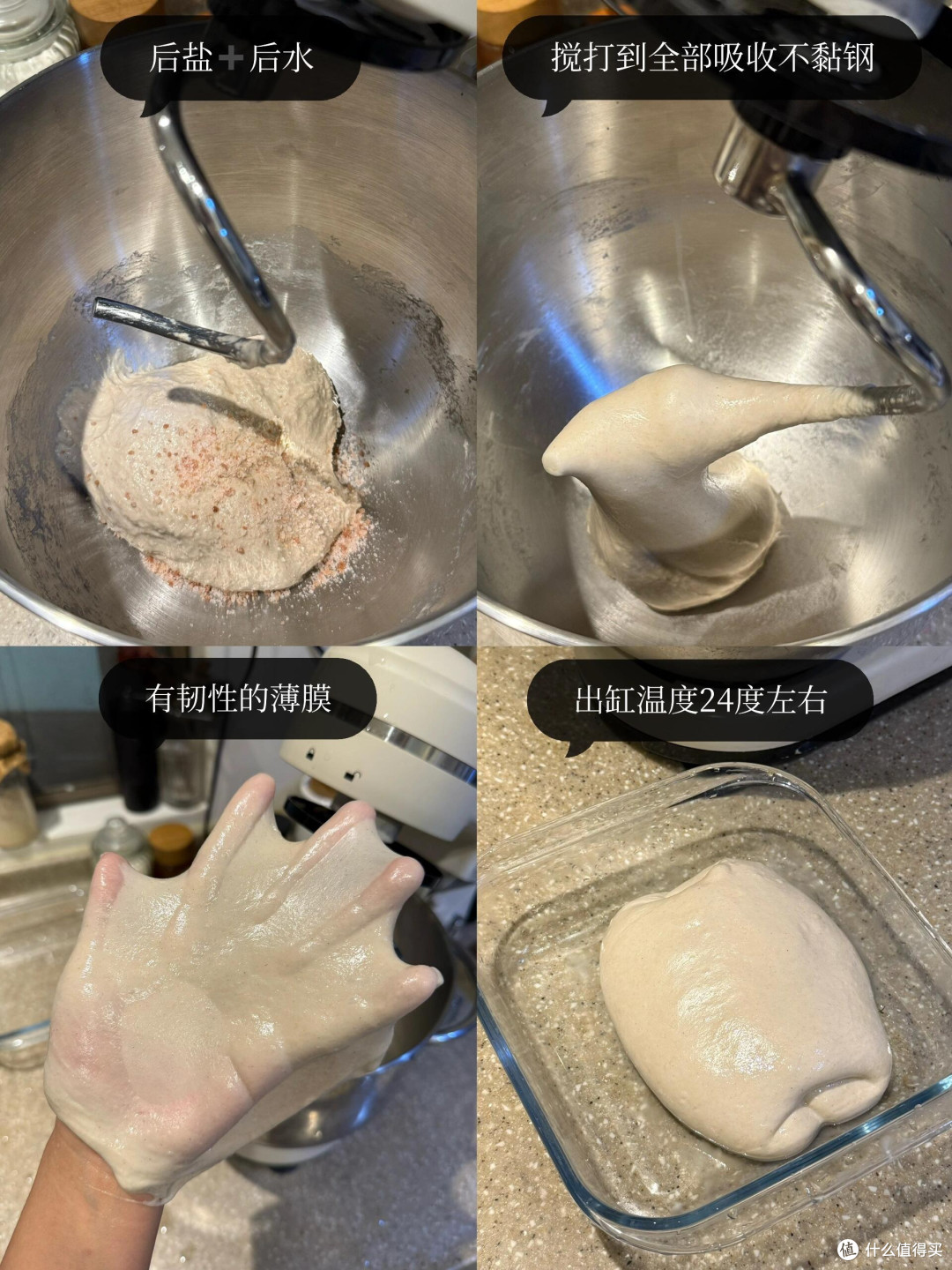 制作梅子露这么多年，今年用它养了青梅味的鲁邦种！