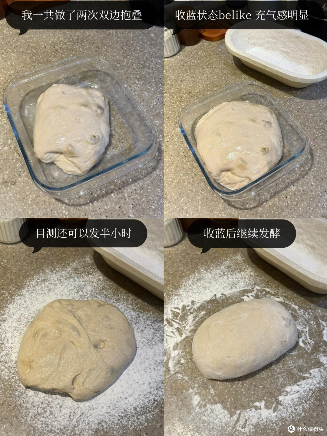 制作梅子露这么多年，今年用它养了青梅味的鲁邦种！