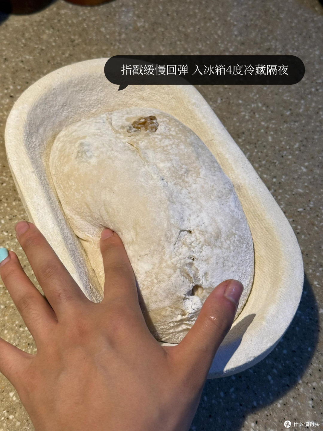 制作梅子露这么多年，今年用它养了青梅味的鲁邦种！