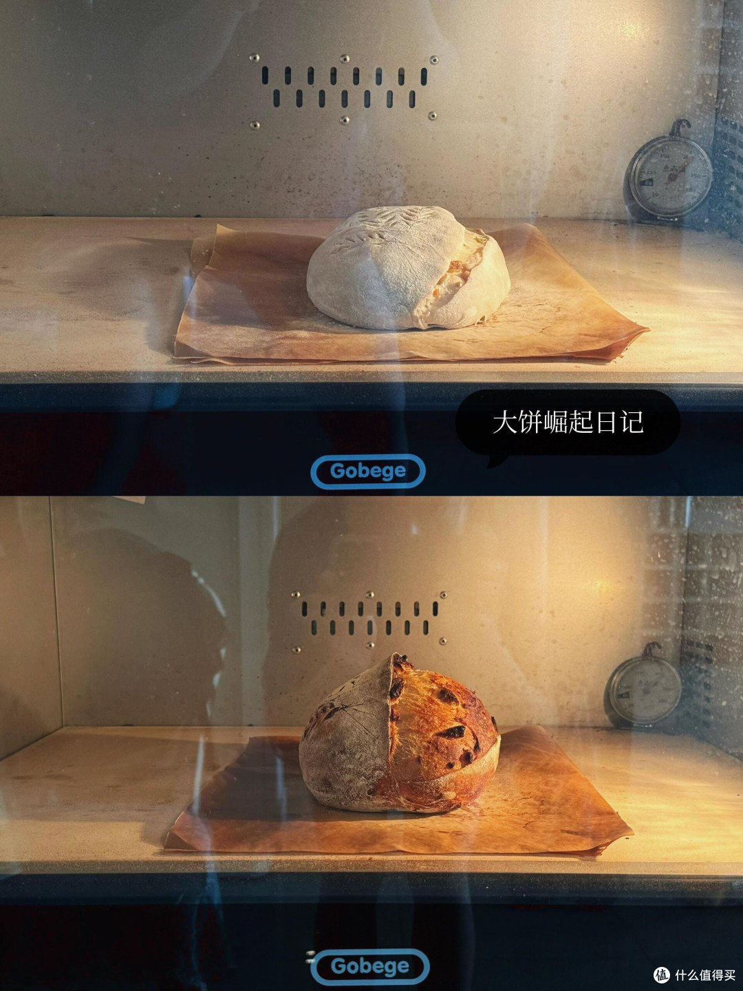 制作梅子露这么多年，今年用它养了青梅味的鲁邦种！