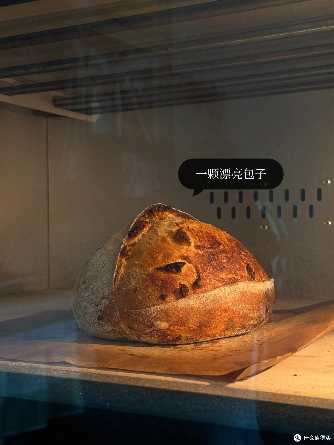 制作梅子露这么多年，今年用它养了青梅味的鲁邦种！