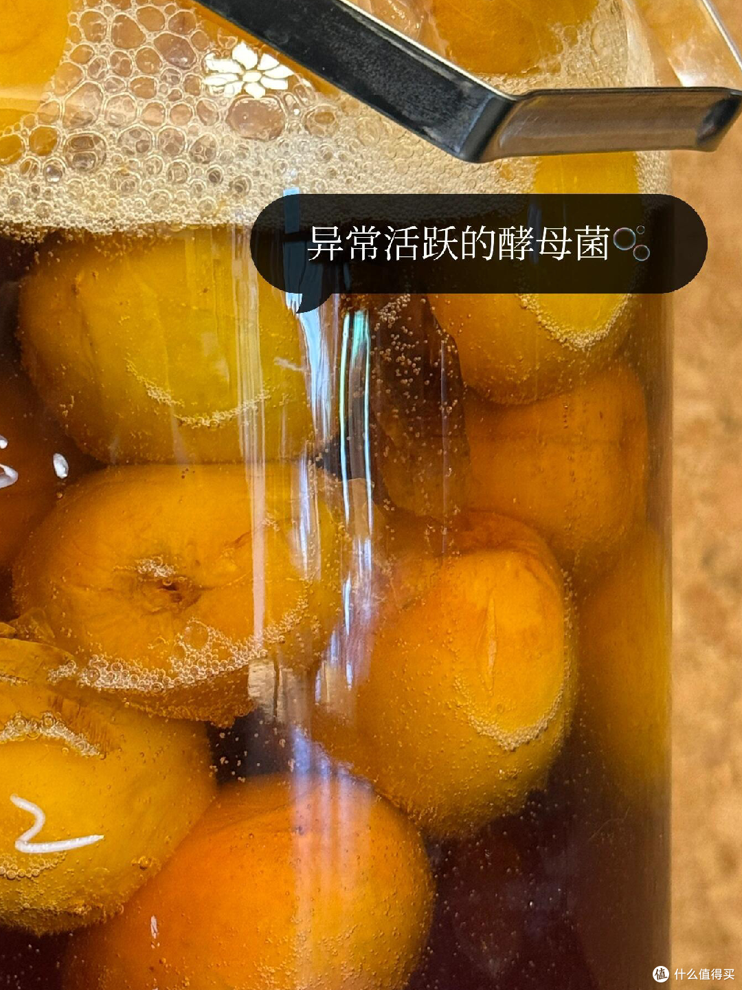 制作梅子露这么多年，今年用它养了青梅味的鲁邦种！