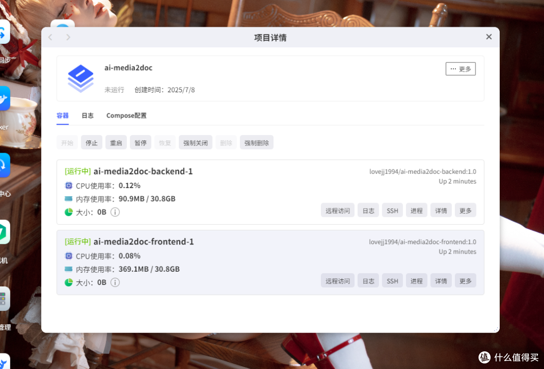 项目情况