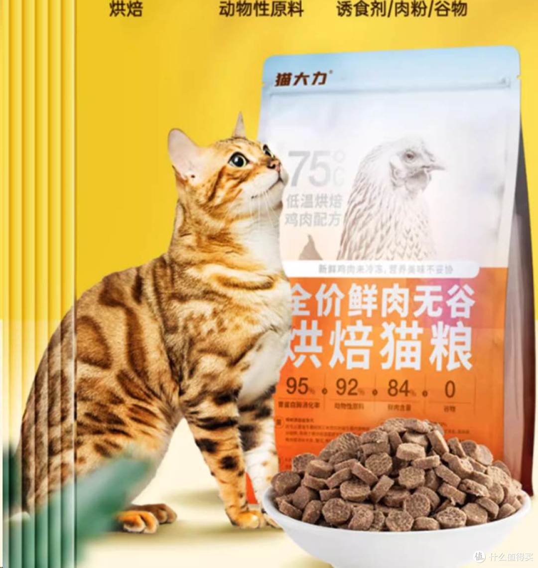猫大力