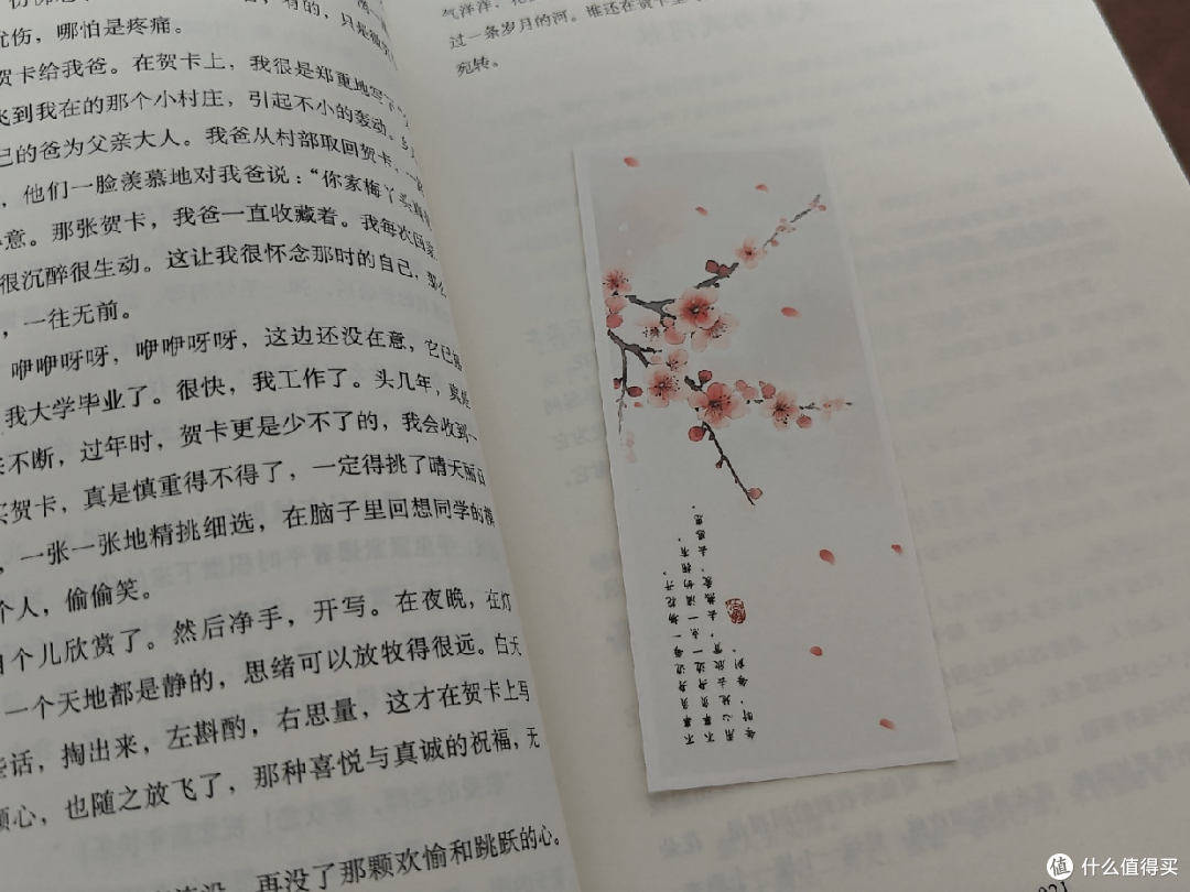 《风会记得一朵花的香:十五年纪念版》阅读分享