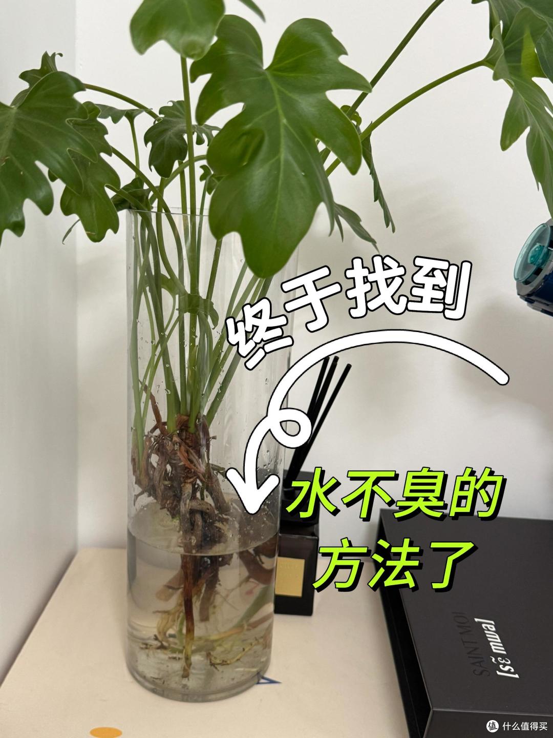 家里总有异味怎么办?晒晒11招“除臭大法”,不花啥钱还特别管用
