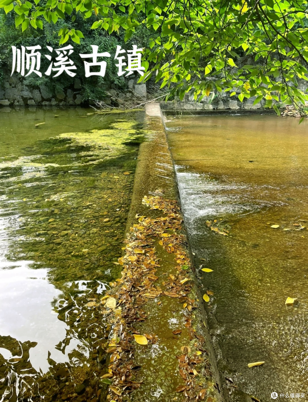 户外玩水!适合夏日高温天的宝藏自驾路线