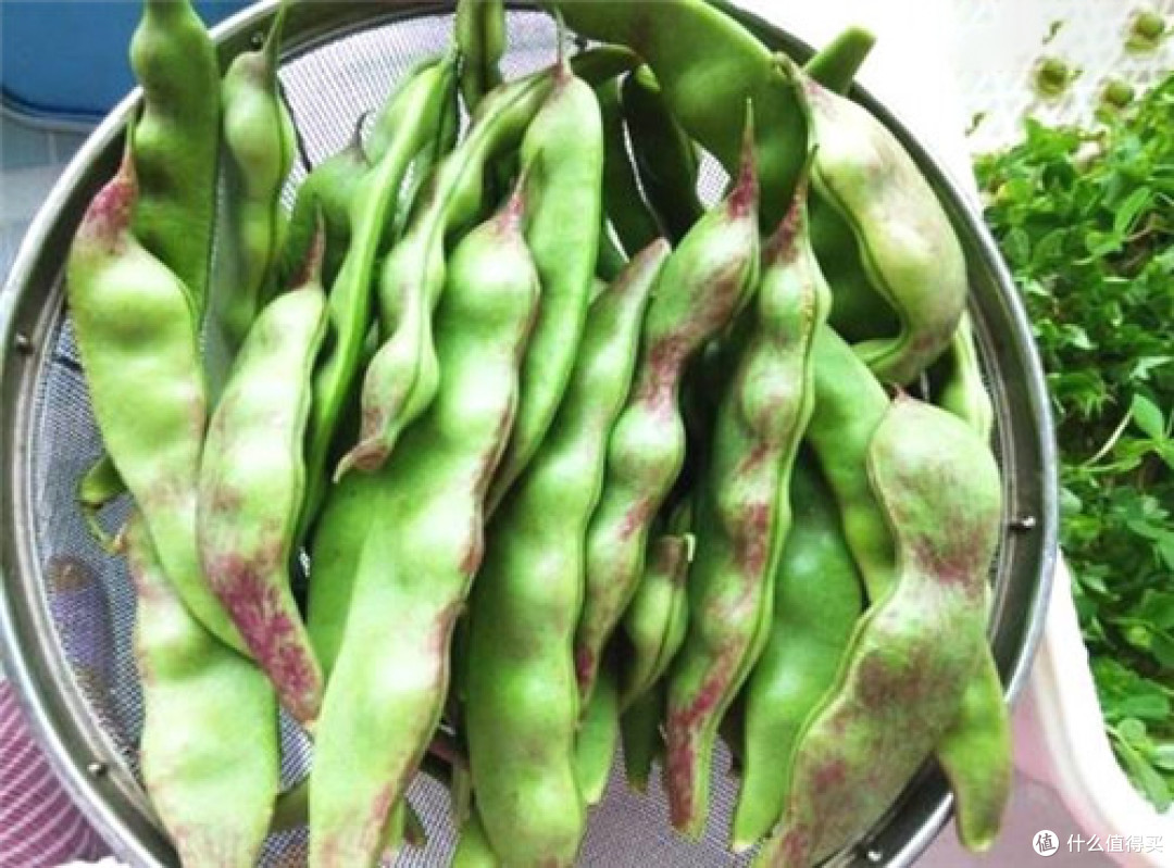 呃……中国哪的“豆橛子”最好吃?来聊聊