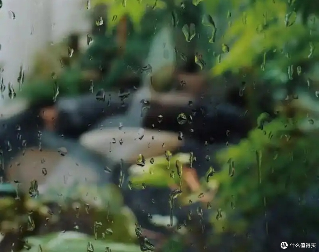 雨季衣物防潮技巧,如何正确存储衣物避免霉变
