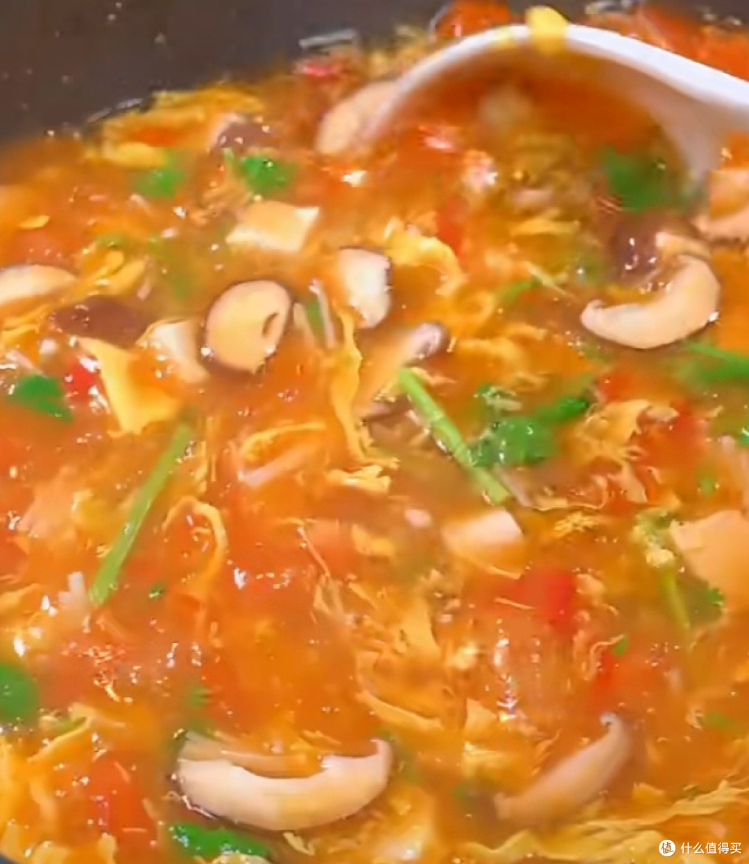 夏日控糖暖心煲:番茄菌菇豆腐煲