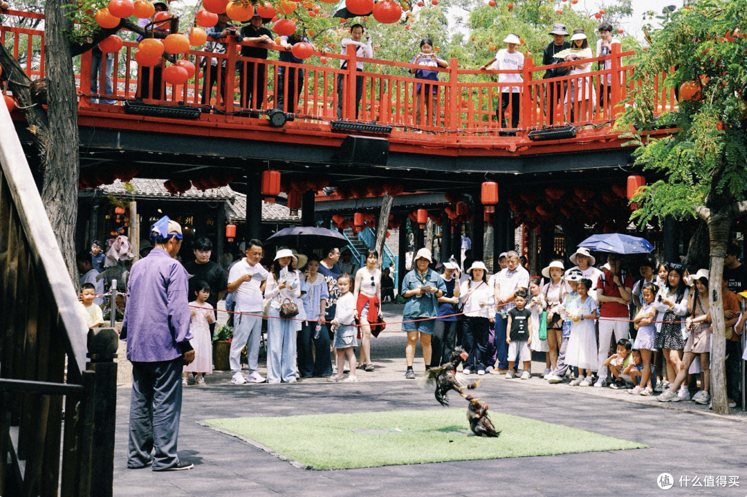 人人都担心会亏钱倒闭的景区,去完我给它今年最高分!