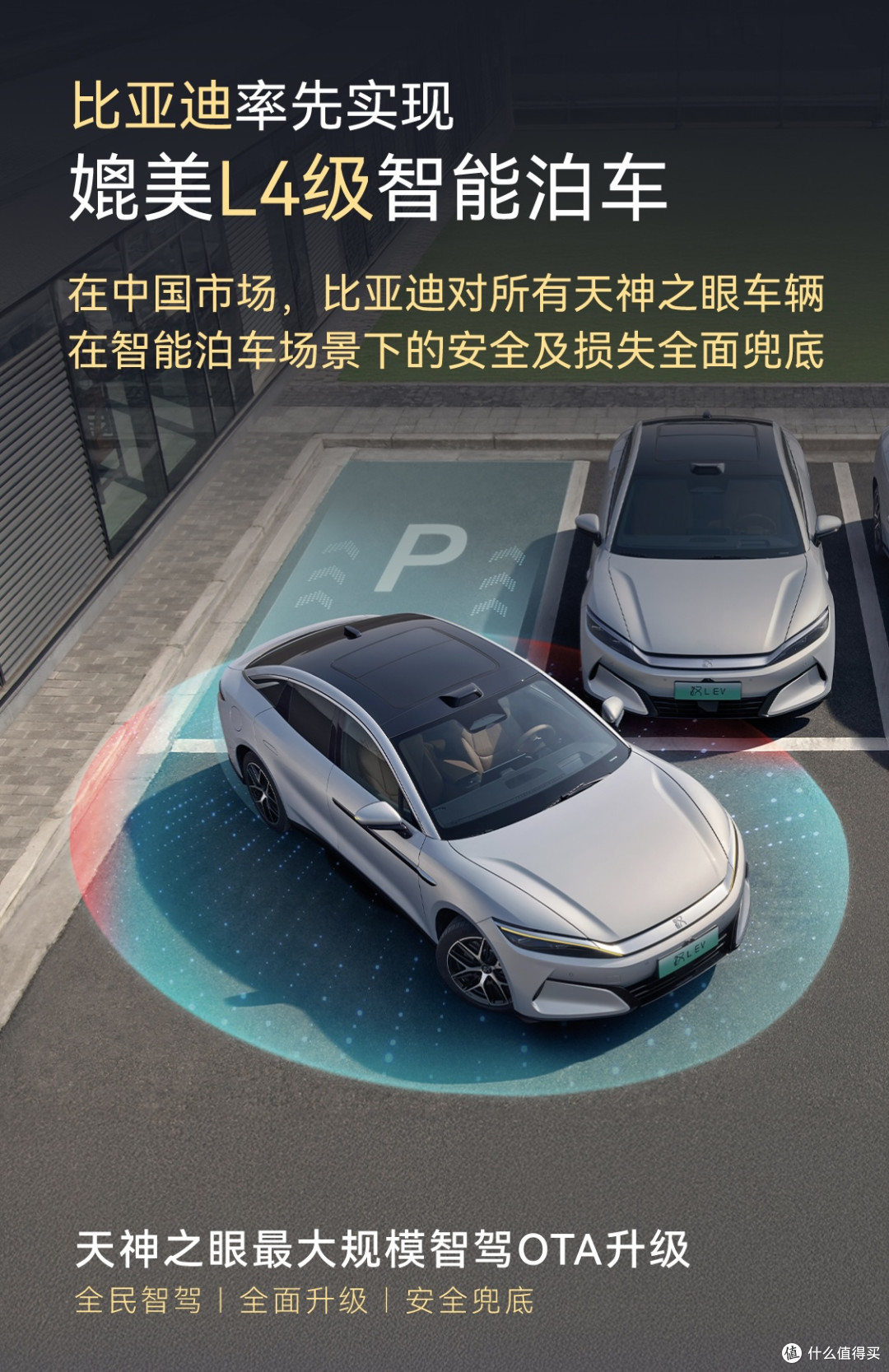 为智能泊车兜底，比亚迪也太大胆了吧！以后剐蹭也不担心保费了