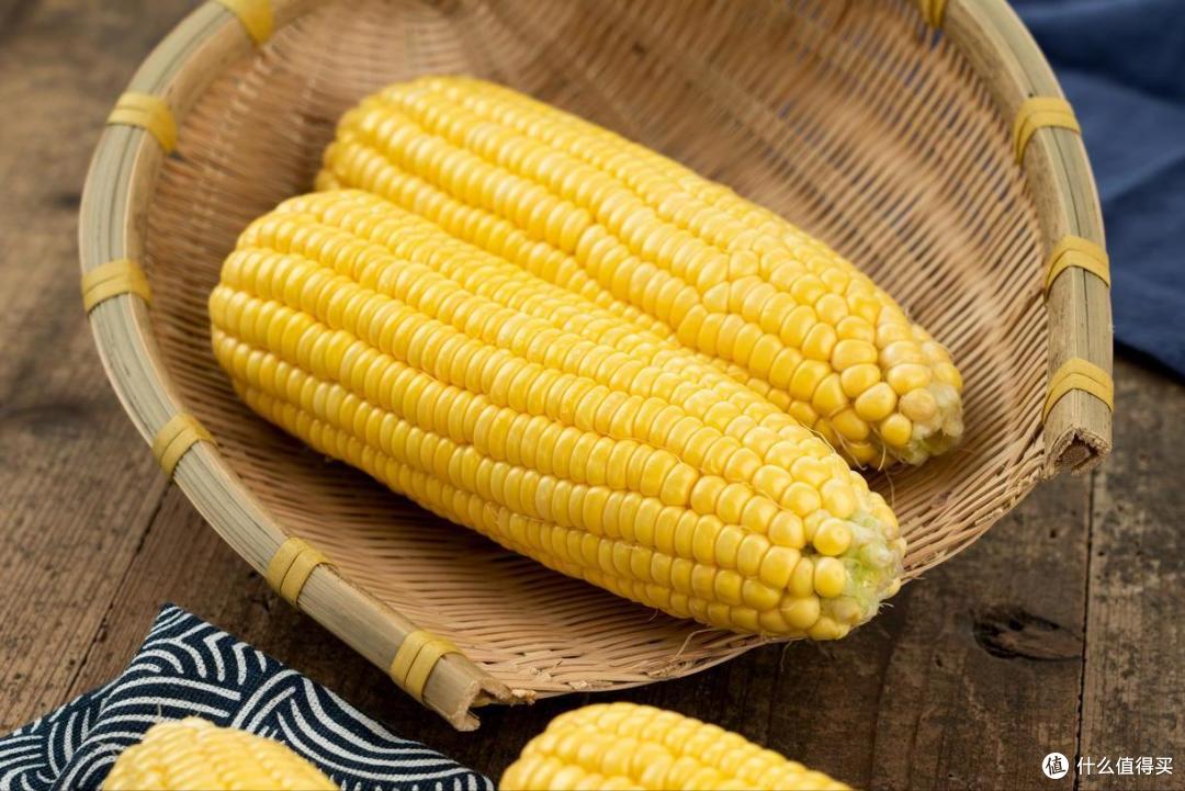 同是玉米,“白色”和“黄色”有啥不同?