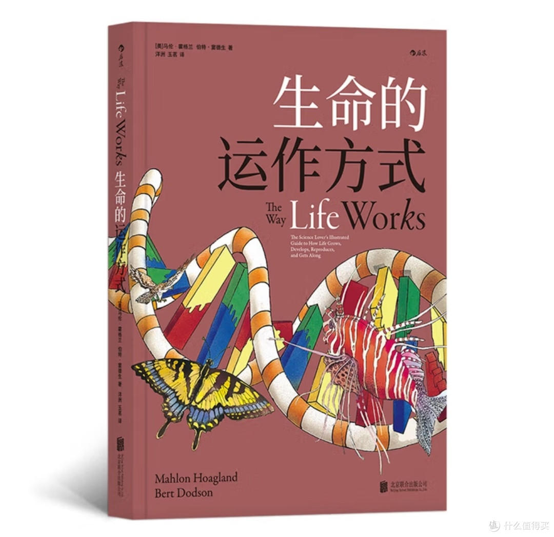  解码生命之诗：如何用艺术与科学共奏生命乐章