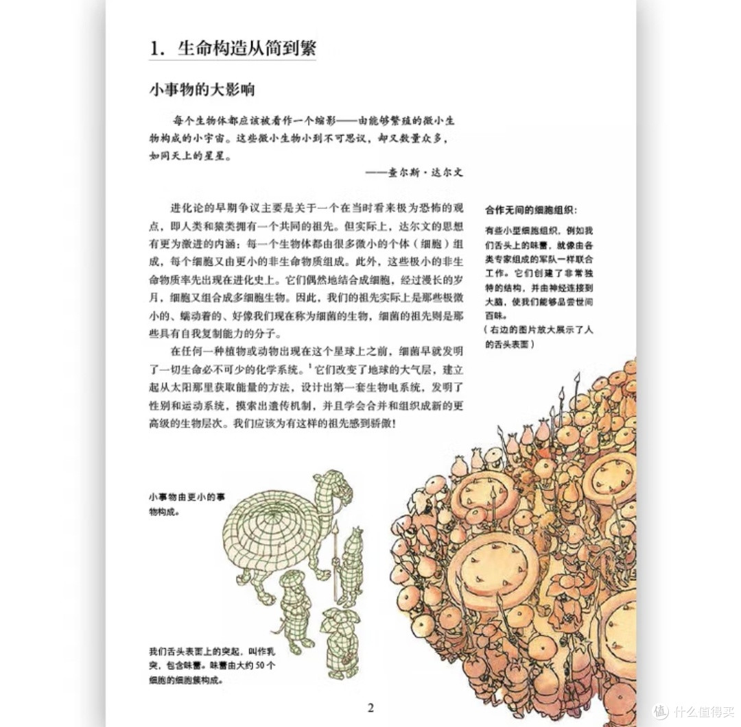  解码生命之诗：如何用艺术与科学共奏生命乐章