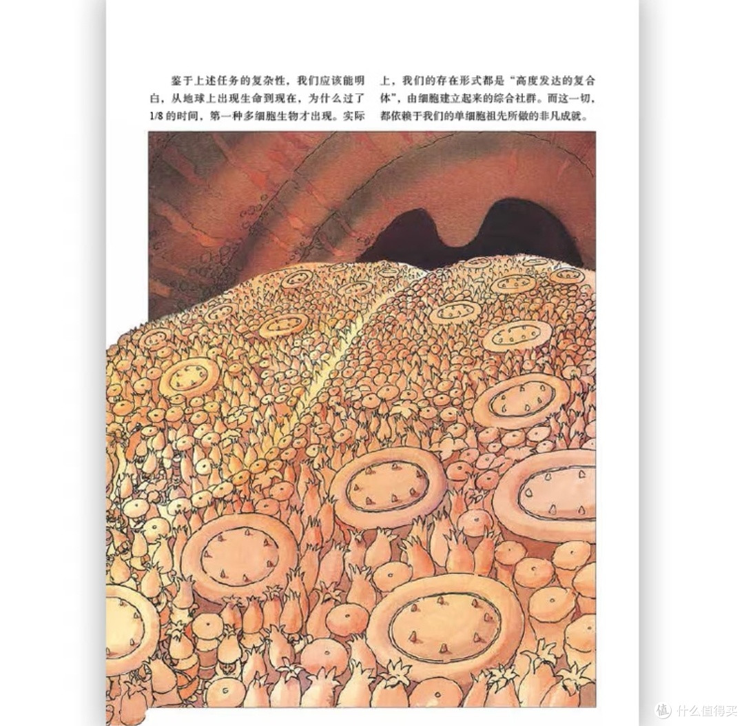  解码生命之诗：如何用艺术与科学共奏生命乐章
