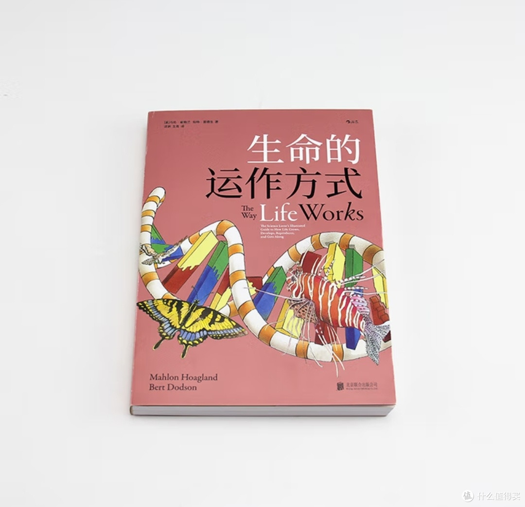  解码生命之诗：如何用艺术与科学共奏生命乐章