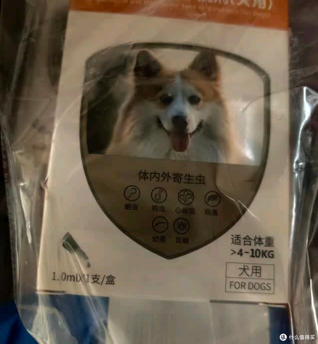 派迪诺驱虫药：体内外一体效果如何？