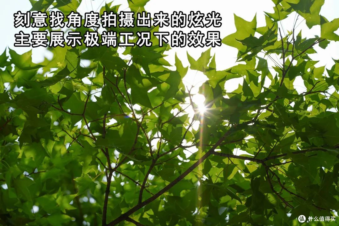 仅售3299元 唯卓仕AF 85/1.4 Pro实拍体验