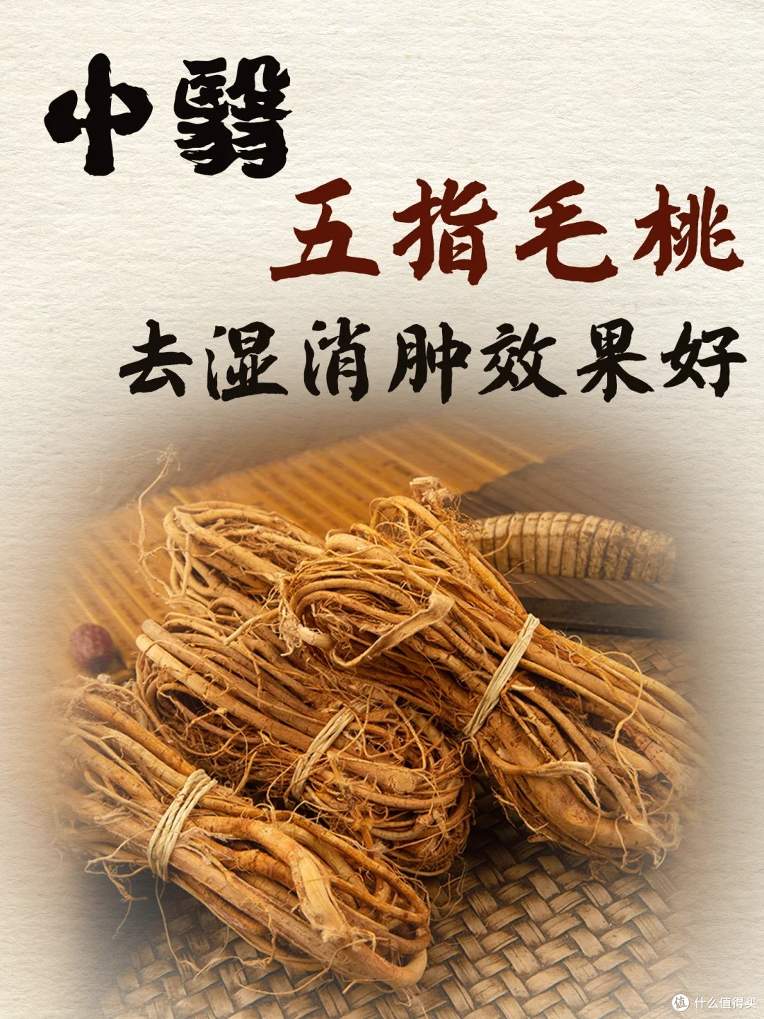健脾祛湿要喝的五指毛桃茶汤水,打工人夏季必存