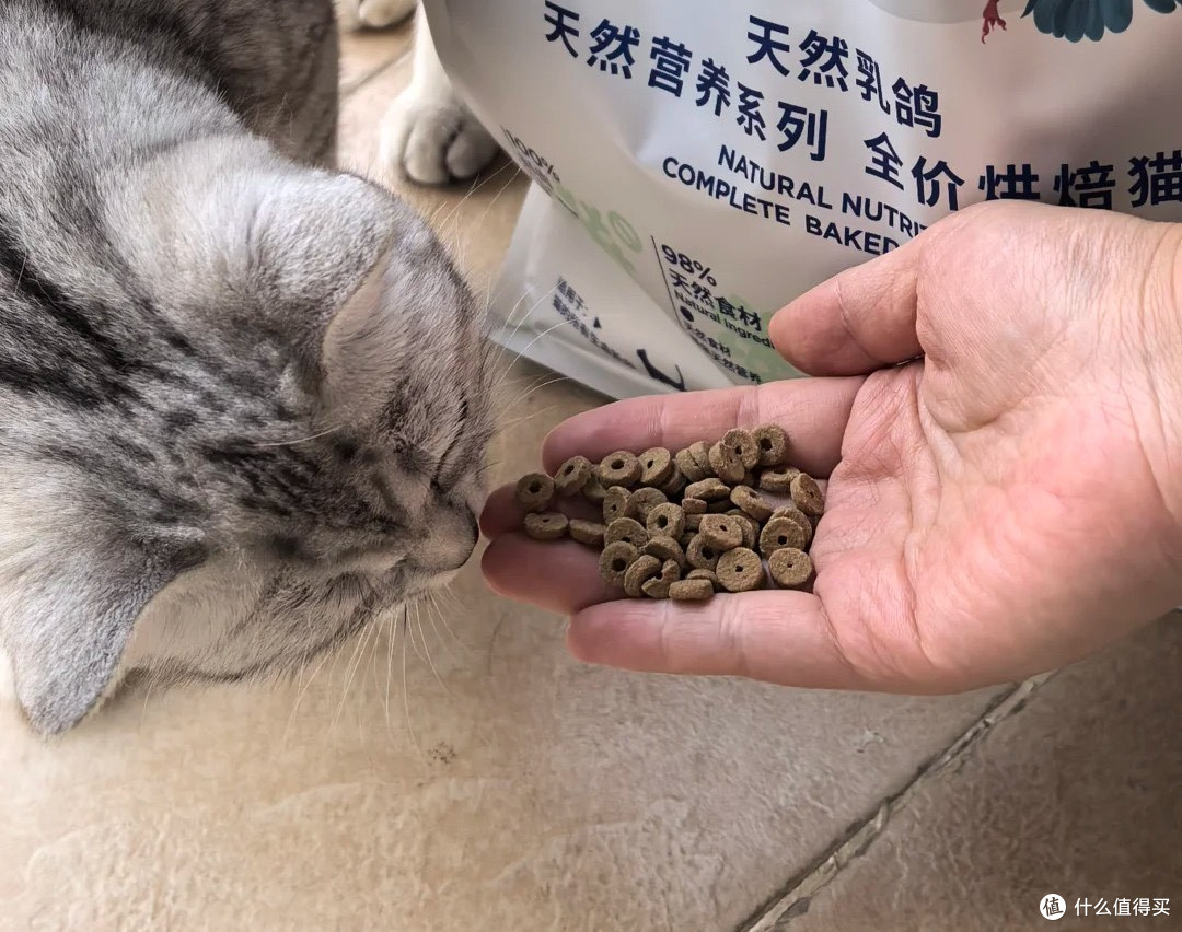 老年猫粮哪个牌子好?性价比高一点的猫粮分享