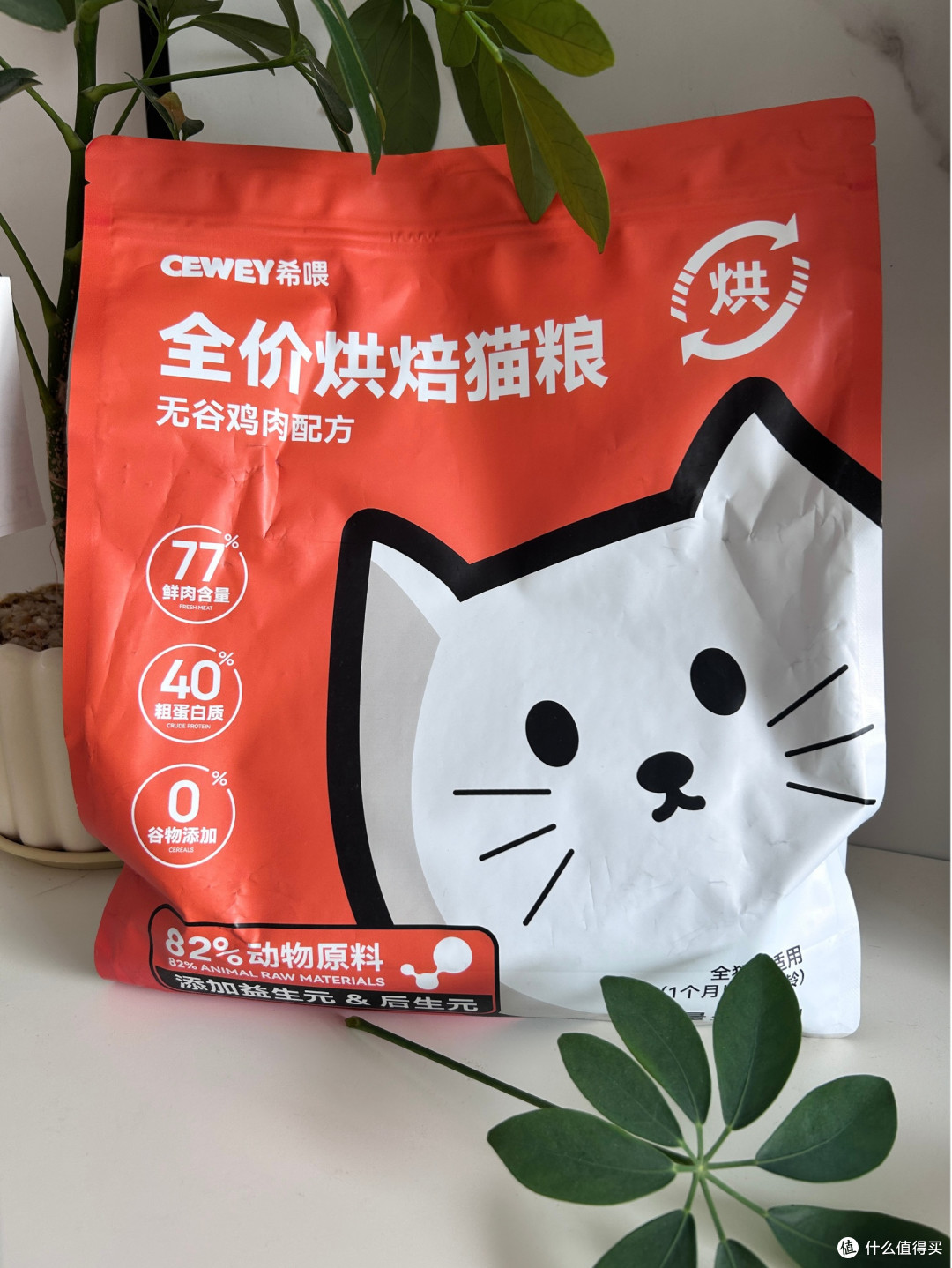 猫粮哪个牌子好又安全又便宜？深度分析猫粮排行榜前十名