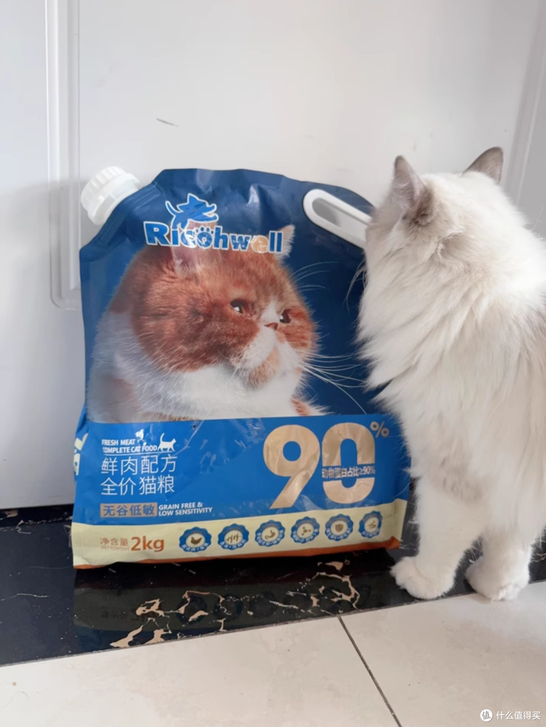 猫粮哪个牌子好又安全又便宜？深度分析猫粮排行榜前十名