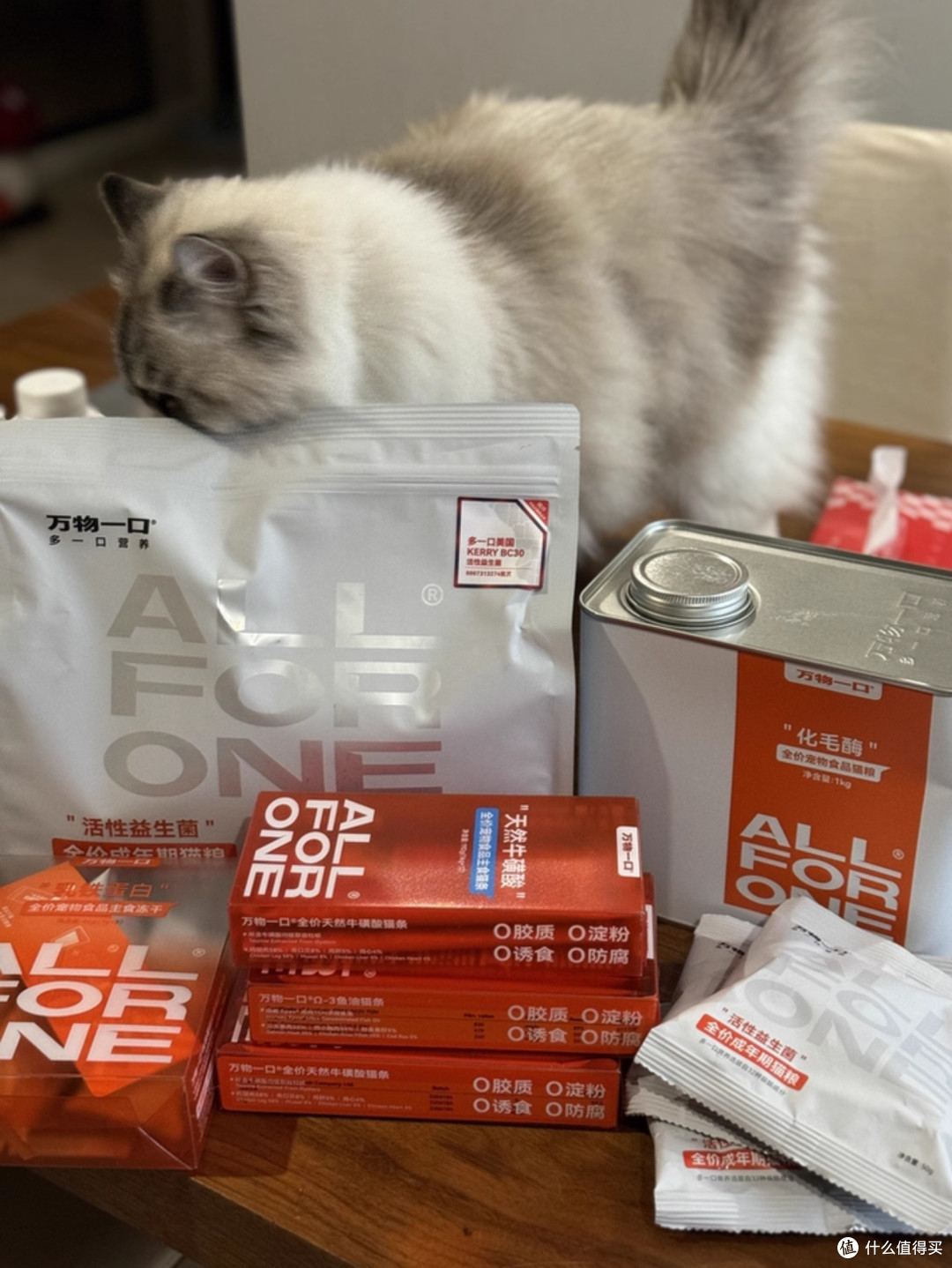 猫粮哪个牌子好又安全又便宜？深度分析猫粮排行榜前十名