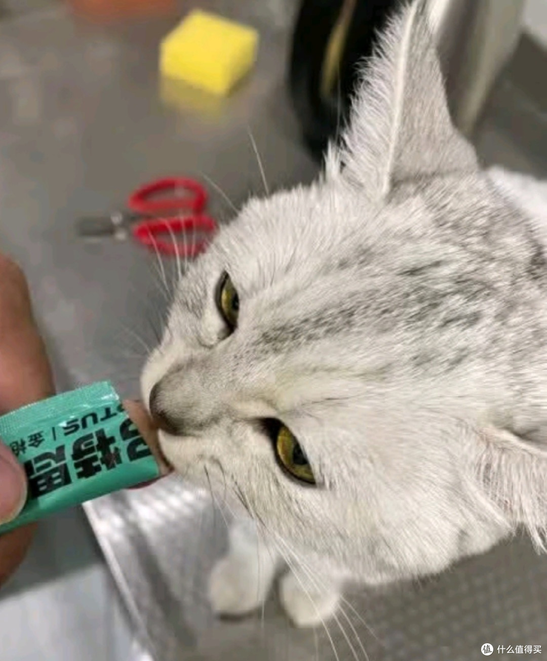 多特思猫粮无添加设计确保猫咪健康
